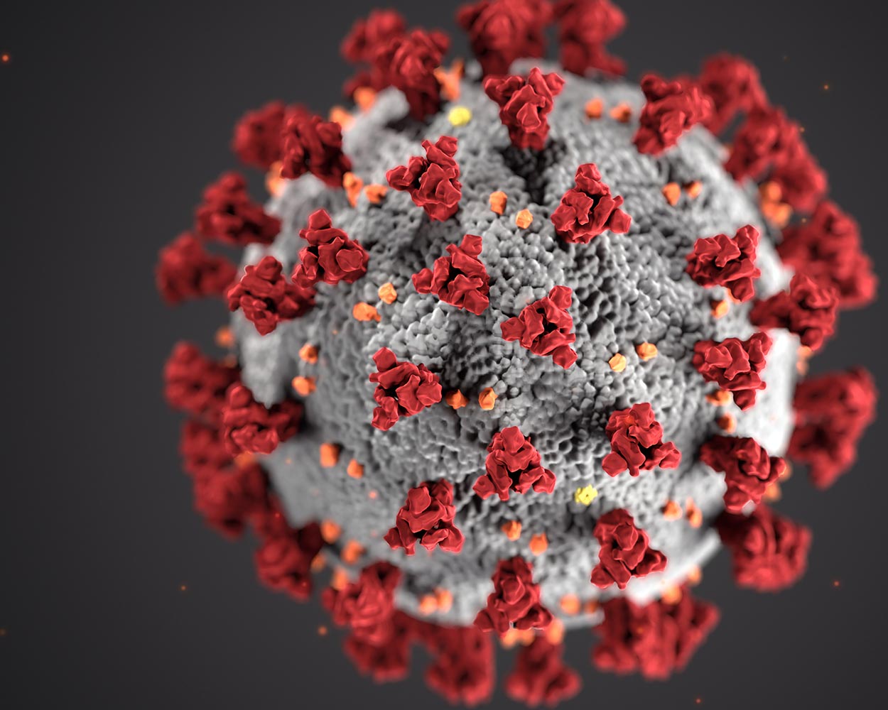 Data in the Time of Coronavirus