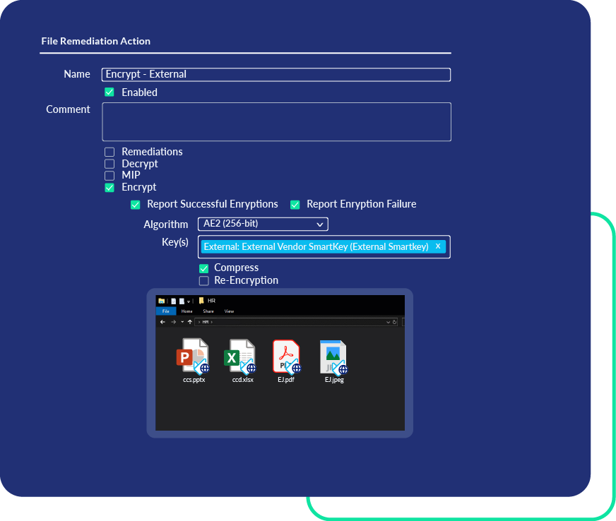 File-level protection extending beyond Microsoft Purview to all file types across the enterprise