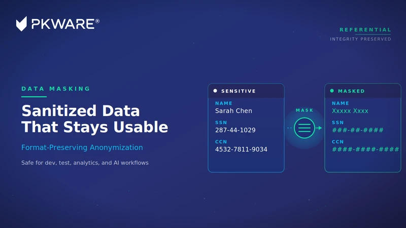 PK Protect masking sensitive values while preserving data format and utility