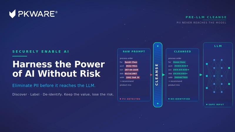 PII removed from data before it reaches a large language model